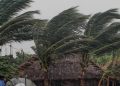 Cyclone Amphan: Assam may witness strong wind, heavy rainfall in next 24 hours