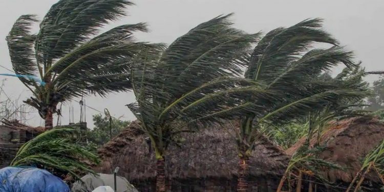 Cyclone Amphan: Assam may witness strong wind, heavy rainfall in next 24 hours
