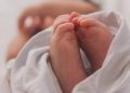 luma-pimentel-463423-unsplash-750x375
