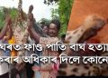 গুৱাহাটীত নাহৰফুটুকী হত্যা কৰি সমদল: নাবালককে ধৰি ছজনক গ্ৰেপ্তাৰ