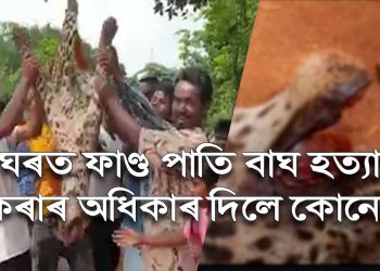 গুৱাহাটীত নাহৰফুটুকী হত্যা কৰি সমদল: নাবালককে ধৰি ছজনক গ্ৰেপ্তাৰ