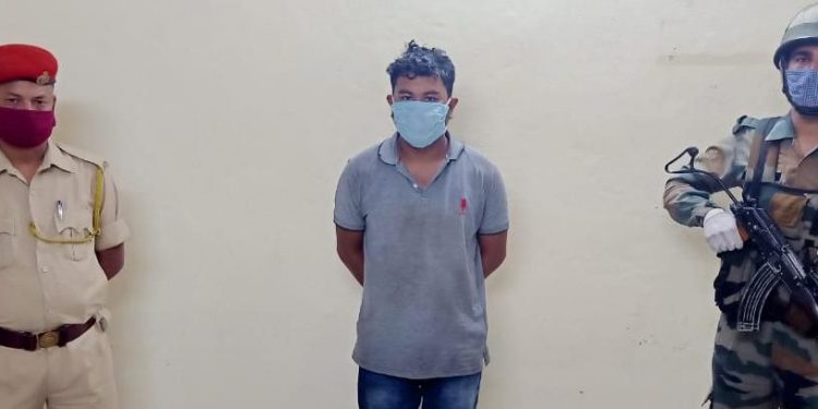 ফটো : নৰ্থ-ইষ্ট নাও