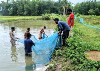 মাছৰ পোনা উৎপাদনেৰে বোকাখাতৰ কুৰুৱাবাহীৰ দুই যুৱকৰ নীল বিপ্লৱ