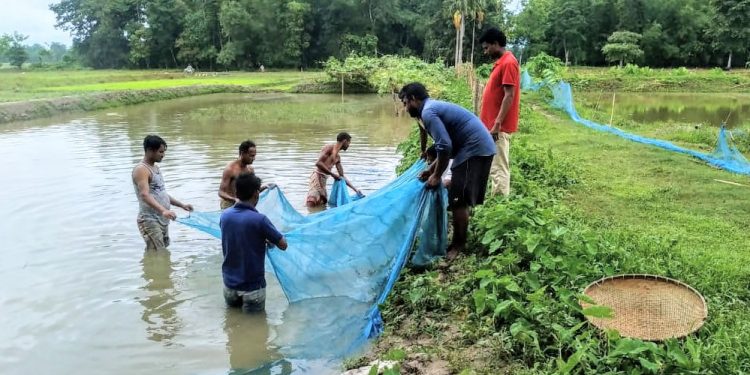 ফটো : নৰ্থ-ইষ্ট নাও