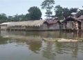 বানত বিধ্বস্ত টীয়কৰ মুকালনি; বন্যাৰ্তক সাহায্য প্ৰদান নকৰাৰ অভিযোগ যোৰহাট জিলা ছাত্র সন্থাৰ
