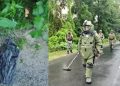 IED recovered at Bogapani in Assam, defused by army’s bomb squad
