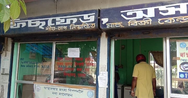 ফিছফেড