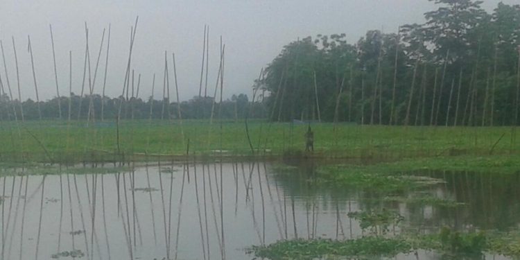 ফটো-নৰ্থ-ইষ্ট নাও