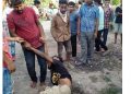 দেৱাশিষ গগৈ গণ হত্যাৰ লগত জড়িত  মুঠ ১১ জন  অভিযুক্তক গ্ৰেপ্তাৰ