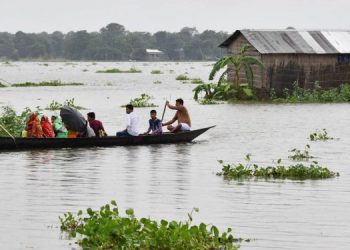 বানৰ সংহাৰ অসমত; এতিয়ালৈকে ৮৫ গৰাকীৰ মৃত্যু, ৩৩ লাখ লোক ক্ষতিগ্ৰস্ত