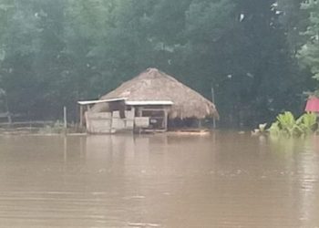 Bera-flood--750x375