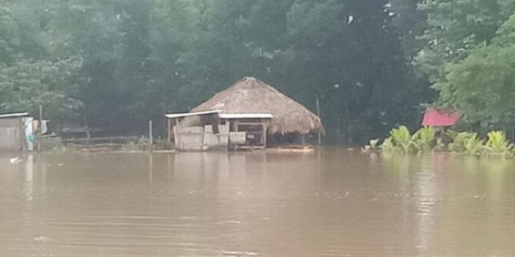 Bera-flood--750x375