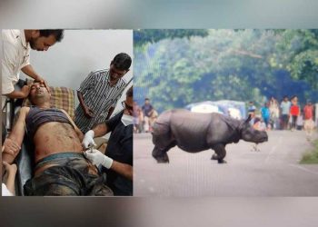 Kaziranga