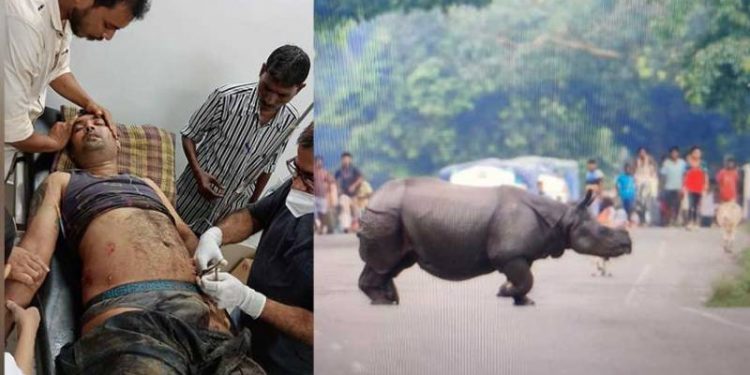 Kaziranga