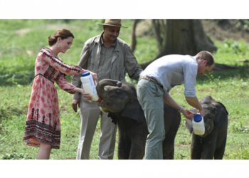 Prince_William_Writes_t