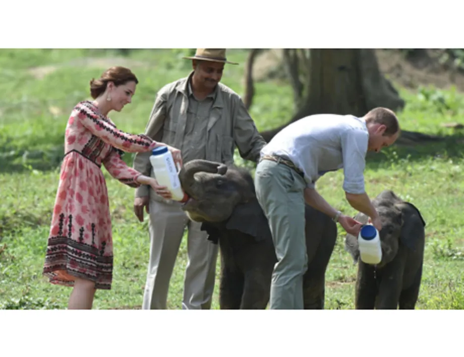 Prince_William_Writes_t