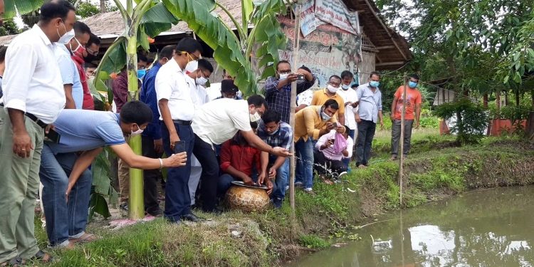 ফটো-নৰ্থ-ইষ্ট নাও
