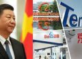 china company