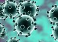 coronavirus-1140x570