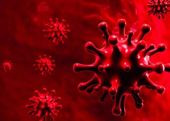 12 more Covid19 patients die in Assam on Saturday