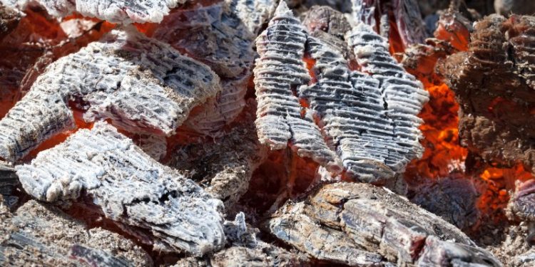 wood-ash-public-