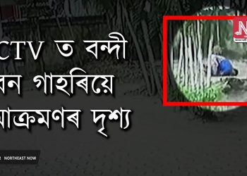 মহানগৰীৰ মাজ মজিয়াত বনৰীয়া গাহৰিৰ সন্ত্ৰাস : চাৰিজন আহত