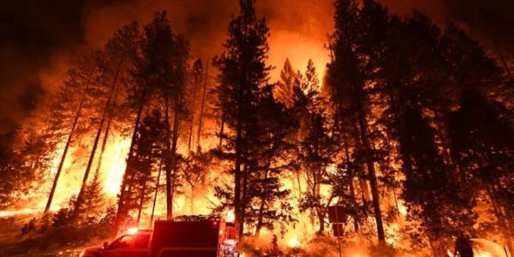 California-wildfire1