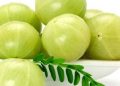 Emblica-Officinalis-494x270