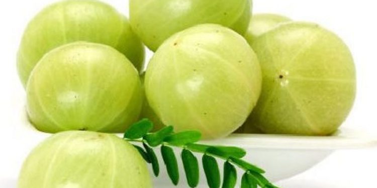 Emblica-Officinalis-494x270