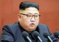 KIM_WEB