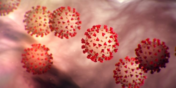 36 more test positive for COVID-19 in Nagaland