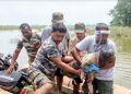 কাজিৰঙা ৰাষ্ট্ৰীয় উদ্যানৰ কহঁৰা বনাঞ্চলত সদ্যজাত গঁড় পোৱালী উদ্ধাৰ