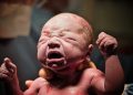 new baby just coming into the world