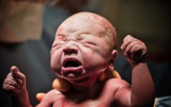new baby just coming into the world