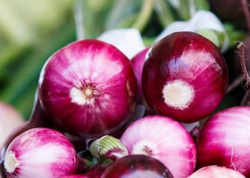 purple_onions_main_uns-1280x720