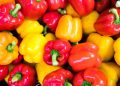 Capsicums