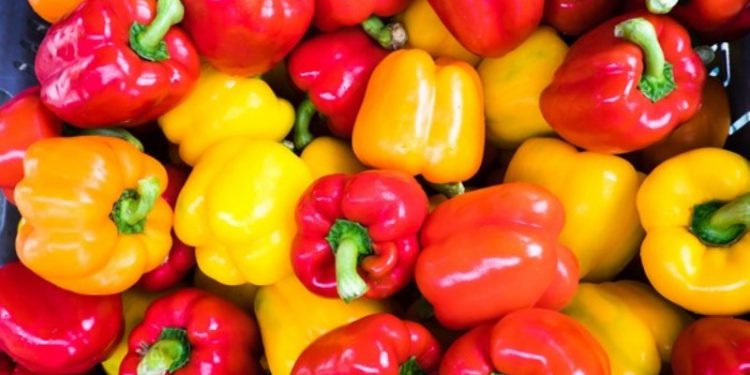 Capsicums