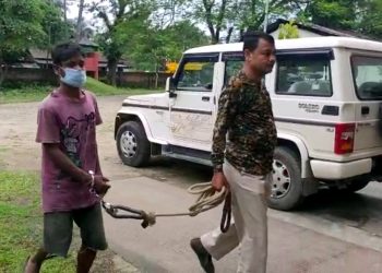 লেখাপানীৰ উদয়পুৰত লোমহৰ্ষক হত্যাকাণ্ড; ভিনিহিয়েকৰ দাৰ ঘাপত প্ৰাণ গ’ল খুলশালিয়েকৰ