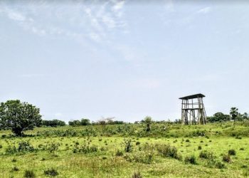 কাজিৰঙাৰ ৰাষ্ট্ৰীয় উদ্যানৰ সপ্তম, অষ্টম আৰু নৱম সংযোজনৰ আনুষ্ঠানিক ঘোষণা