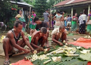 rabha
