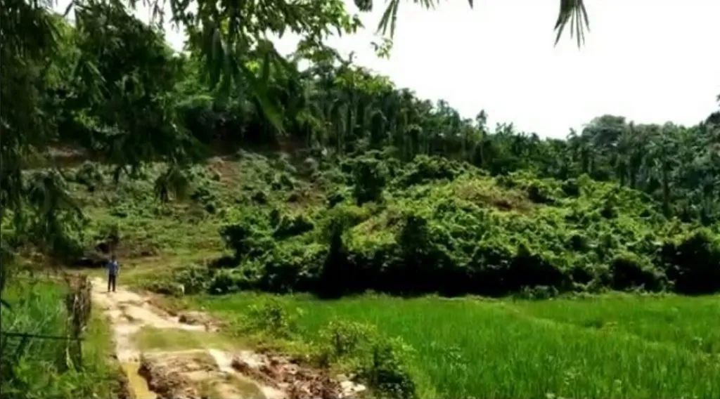 মৰিয়নীত অসমৰ ভূমিত নগাই আৰম্ভ কৰিছে বিদ্ৰোহী সংগঠনৰ শিৱিৰ স্থাপনৰ প্ৰস্তুতি