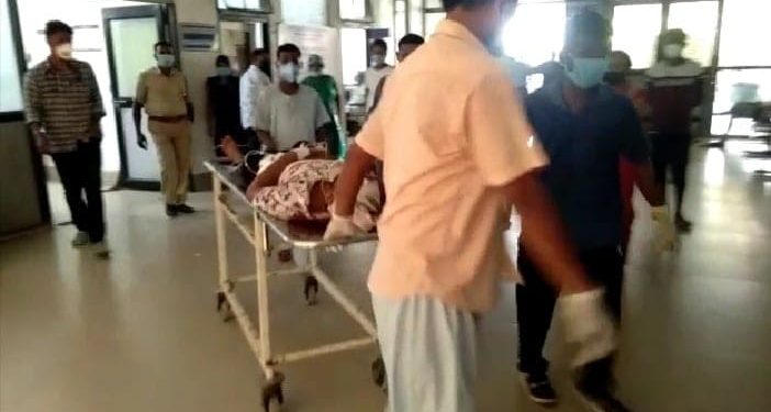 ফটো : নৰ্থ-ইষ্ট নাও
