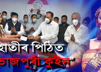 হাতীৰ পিঠিত “ভোজপুৰী কুইন”; কল্পনাক কাষত লৈ অতুল বৰাৰ সিংহৰ দৰে গোঁজৰণি