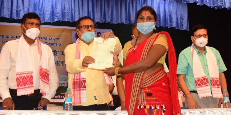 ফটো : নৰ্থ-ইষ্ট নাও