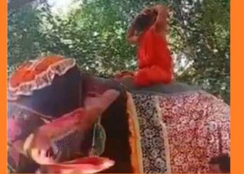 যোগাসন কৰি থকাৰ সময়তে হাতীৰ পিঠিৰ পৰা পৰিল বাবা ৰামদেৱ; ভিডিঅ’ ভাইৰেল