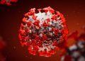 COVID19-virus-1-750x375