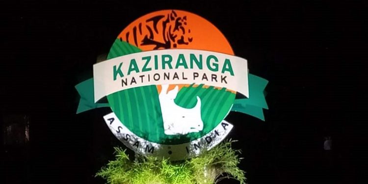 Kaziranga national park to open for tourists on 21 October
