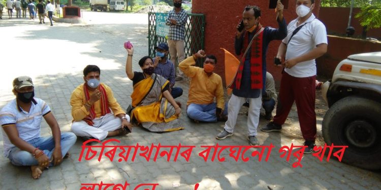 ফটো : নৰ্থ-ইষ্ট নাও