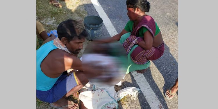 ফটো : নৰ্থ-ইষ্ট নাও