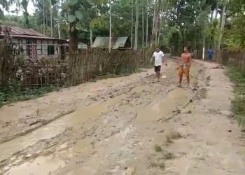 টীয়কত বাট-পথৰ শোচনীয় ৰূপ, পিঠি দিছে জনপ্ৰতিনিধিয়ে